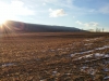 20150113_082648