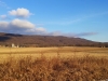 20150113_082654
