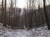 20150115_081118