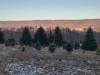 20150115_081745_HDR