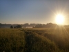 Brimpton Fields
