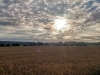 Brimpton Fields