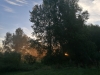 Sun Rise